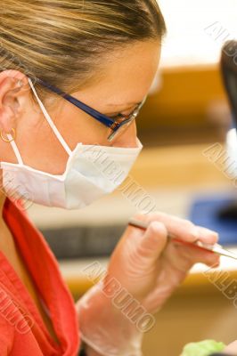dentist