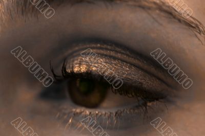 Close up of a woman`s eye