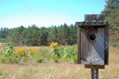 old birdhouse