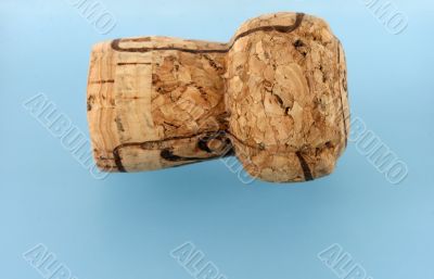 Champagne Cork