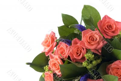 Bunch of flowers