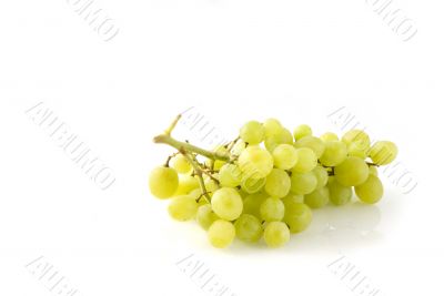 White grapes