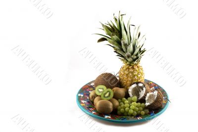 tropical fruit