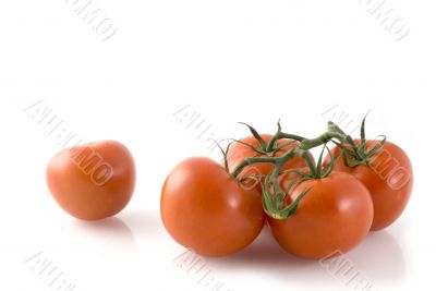 red tomatoes