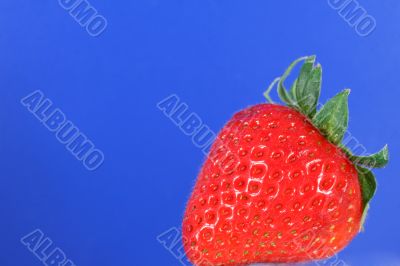 Organic Strawberry