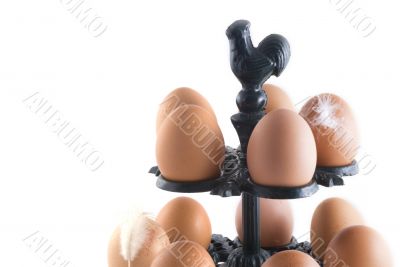 eggs