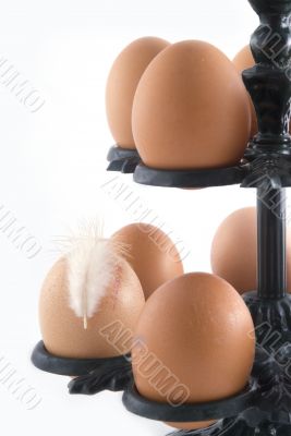 brown eggs