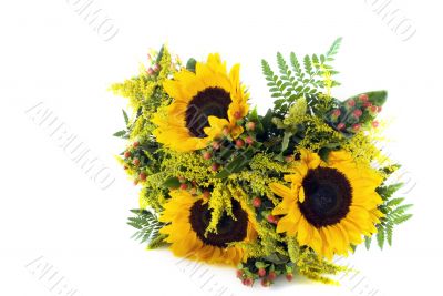 A bunch of sunflowers