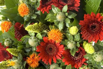 composition with red flowers
