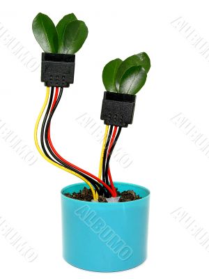 growing sata cable