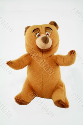 teddy bear