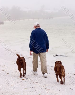Dogs on Beach