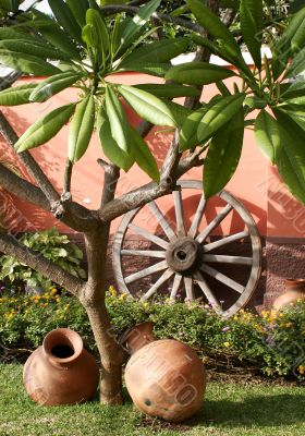 Garden Still Life