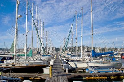 Marina