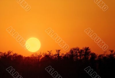 Sunrise