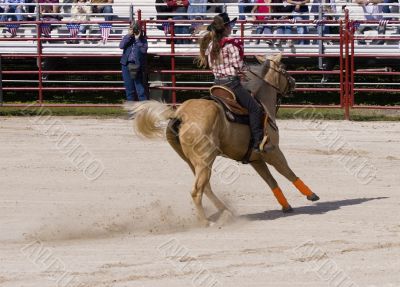 Cowgirl Riding a Horse