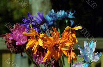 Colorful Flowers