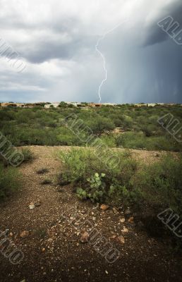 Suburban Lightning