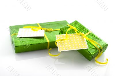 present in green paper