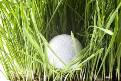 Golfball