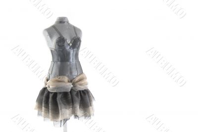 Tailor`s dummy
