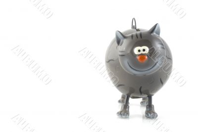 Funny cat