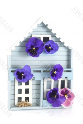 Blue chalet with violets