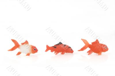 Three goldfishes