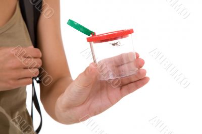 Insect examination box