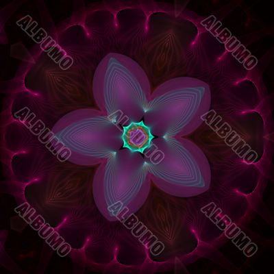 Star Flower