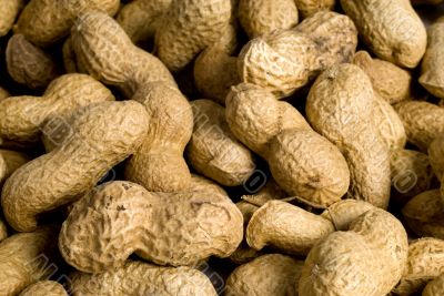 Peanuts