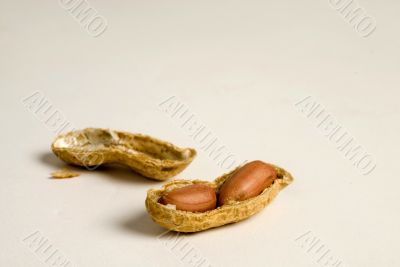Peanuts