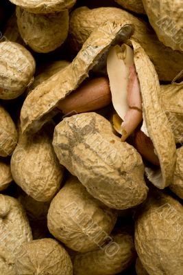 Peanuts