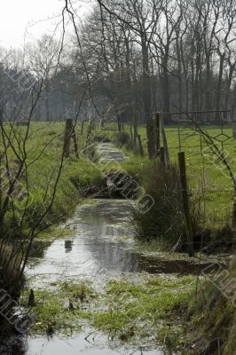 Ditch in farmland
