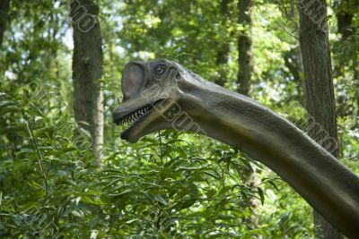 Head of a dinosaur