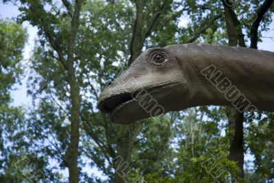 Head of a dinosaur