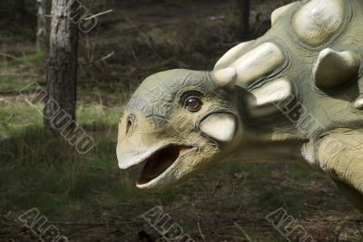 Head of a dinosaur
