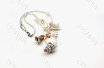 An isolated shell necklace.
