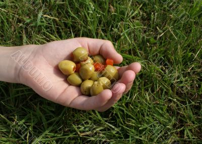 Hand full of olives.