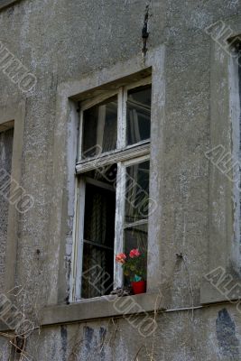 Window in old building.