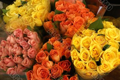 Roses.