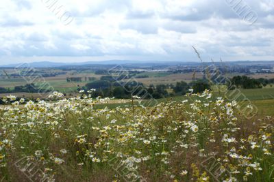 Sauerland Germany.