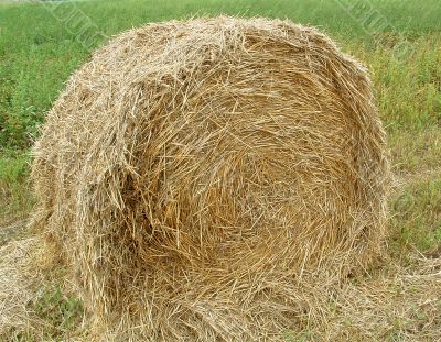 Straw on the threshed floor