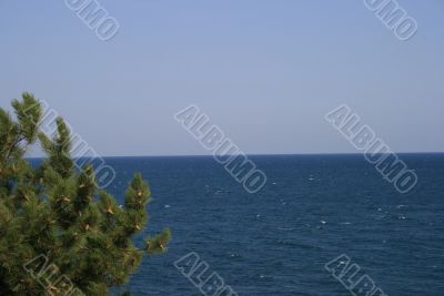 Sea travel