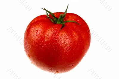 tomato in drops