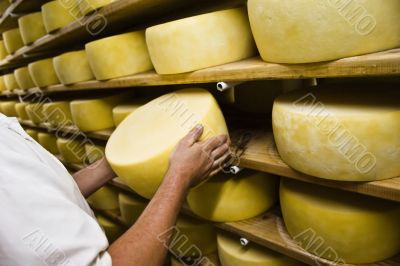 Man inspecting cheese