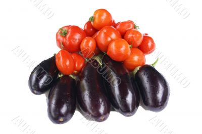 Harvest - tomatoes & eggplant