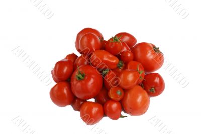 Harvest - tomatoes , isolated