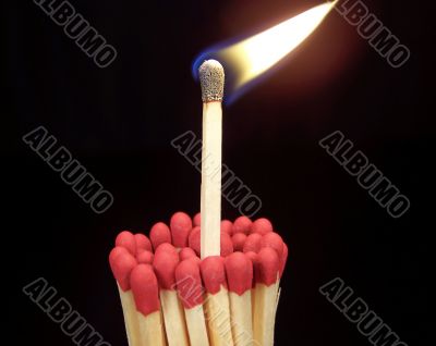 Lit Match Sticking Out of Unlit Matches