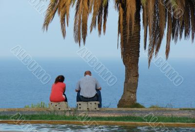pair sitting under a palm tree